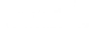 NEXT LIFE VENTURES LLC